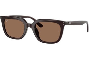 Sončna očala Ray-Ban RB4439D 623173 Kvadratna Rjava