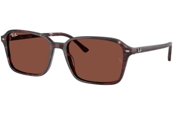 Sončna očala Ray-Ban RB2231 1416C5 Kvadratna Rdeča