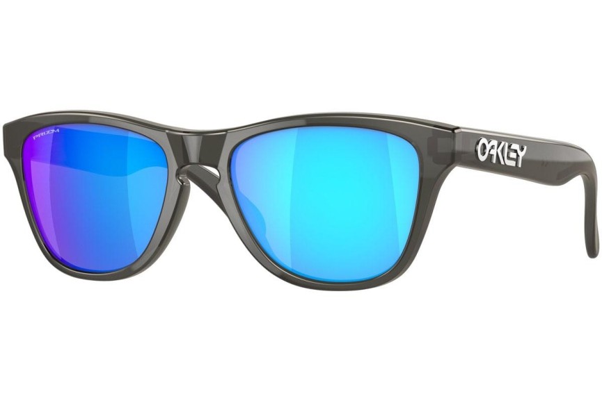 Sončna očala Oakley Frogskins XXS OJ9009-02 Kvadratna Siva