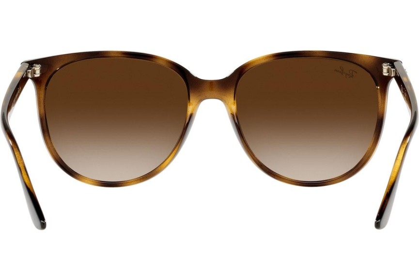 Sončna očala Ray-Ban RB4378 710/13 Kvadratna Havana