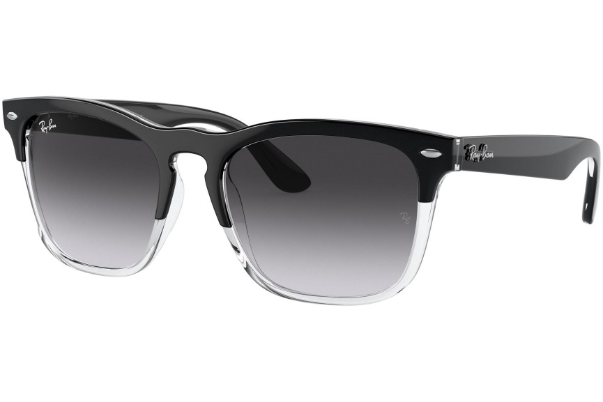 Sončna očala Ray-Ban Steve RB4487 66308G Kvadratna Črna