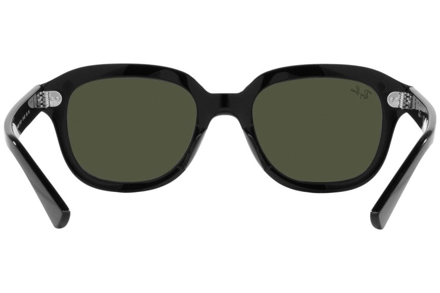 Sončna očala Ray-Ban Erik RB4398 901/31 Kvadratna Črna