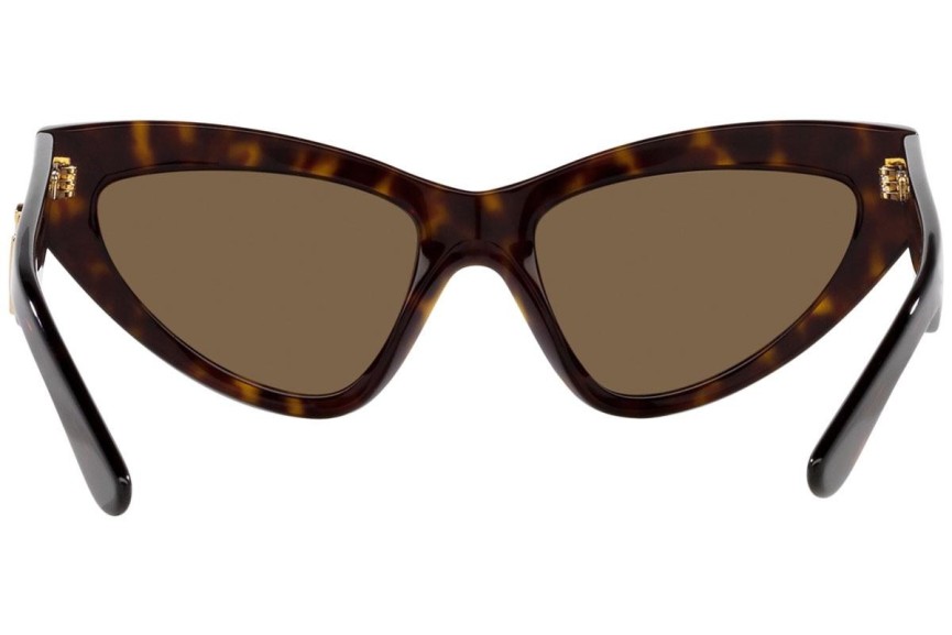 Sončna očala Dolce & Gabbana DG4439 502/73 Cat Eye Havana