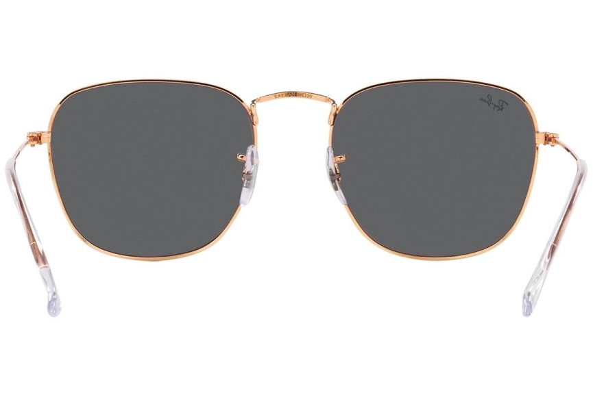 Sončna očala Ray-Ban Frank RB3857 9202B1 Kvadratna Rjava