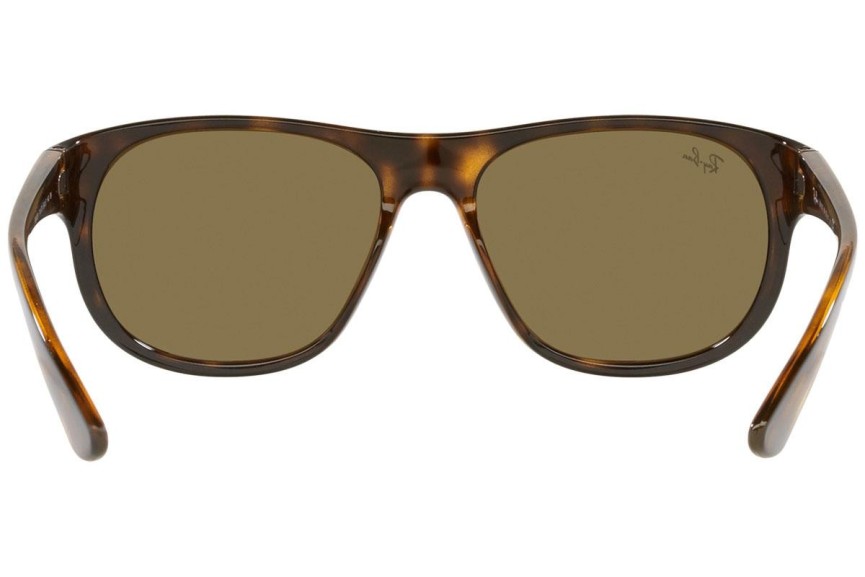 Sončna očala Ray-Ban RB4351 710/73 Ovalna Havana