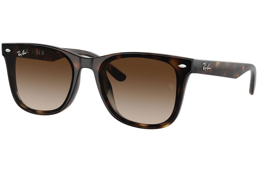 Sončna očala Ray-Ban RB4420 710/13 Kvadratna Havana