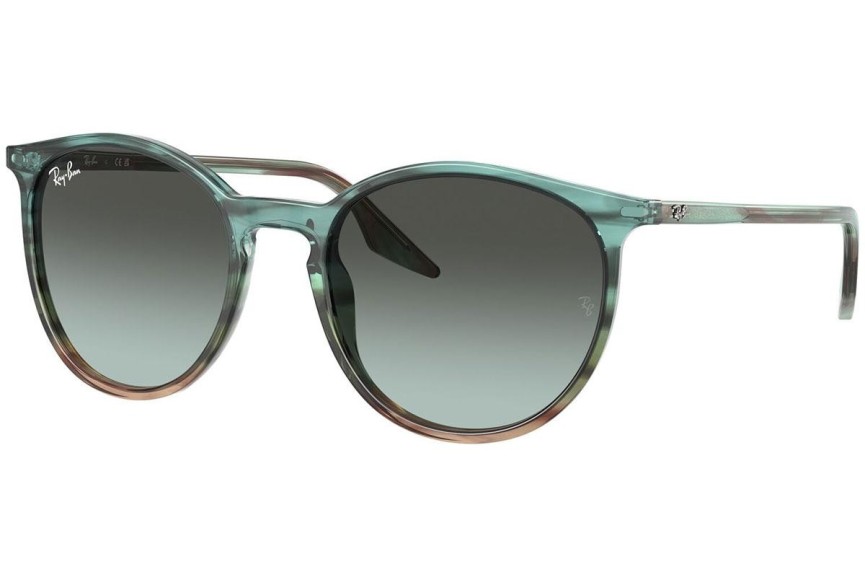 Sončna očala Ray-Ban RB2204 1394GK Okrogla Modra