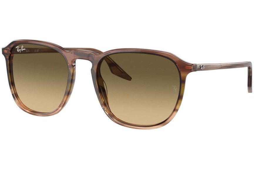 Sončna očala Ray-Ban RB2203 13920A Kvadratna Rjava