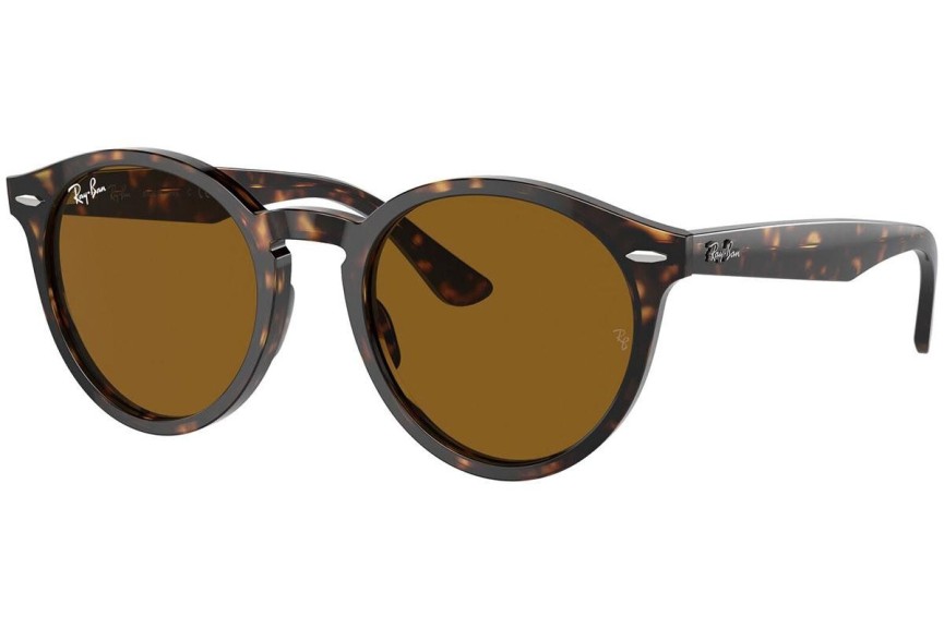 Sončna očala Ray-Ban Larry RB7680S 902/33 Okrogla Havana