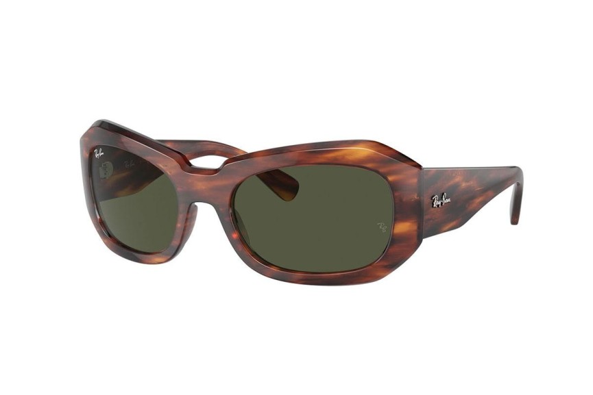 Sončna očala Ray-Ban RB2212 954/31 Ovalna Havana