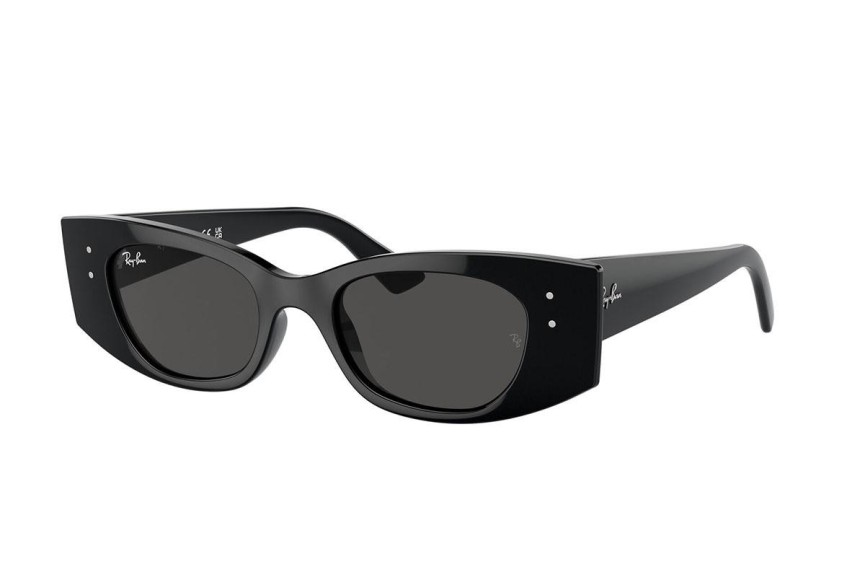 Sončna očala Ray-Ban RB4427 667787 Zgornji okvir Črna