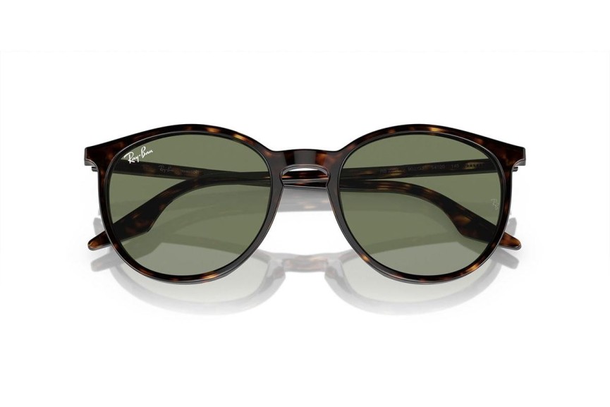 Sončna očala Ray-Ban RB2204 902/GJ Okrogla Havana