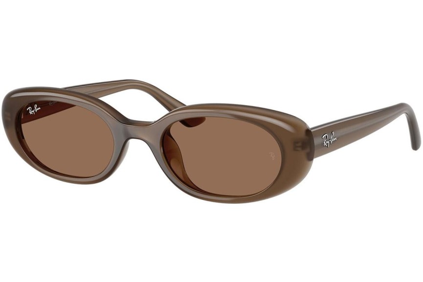 Sončna očala Ray-Ban RB4441D 677973 Ovalna Rjava