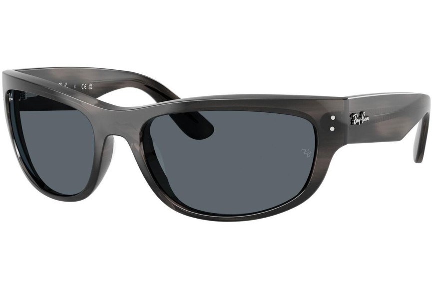 Sončna očala Ray-Ban RB2289 1404R5 Pravokotna Siva