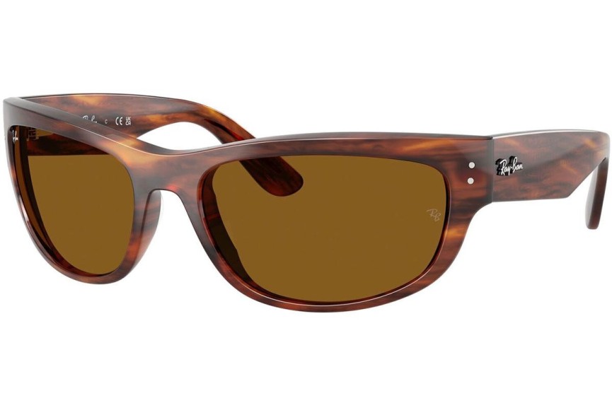 Sončna očala Ray-Ban RB2289 954/33 Pravokotna Havana