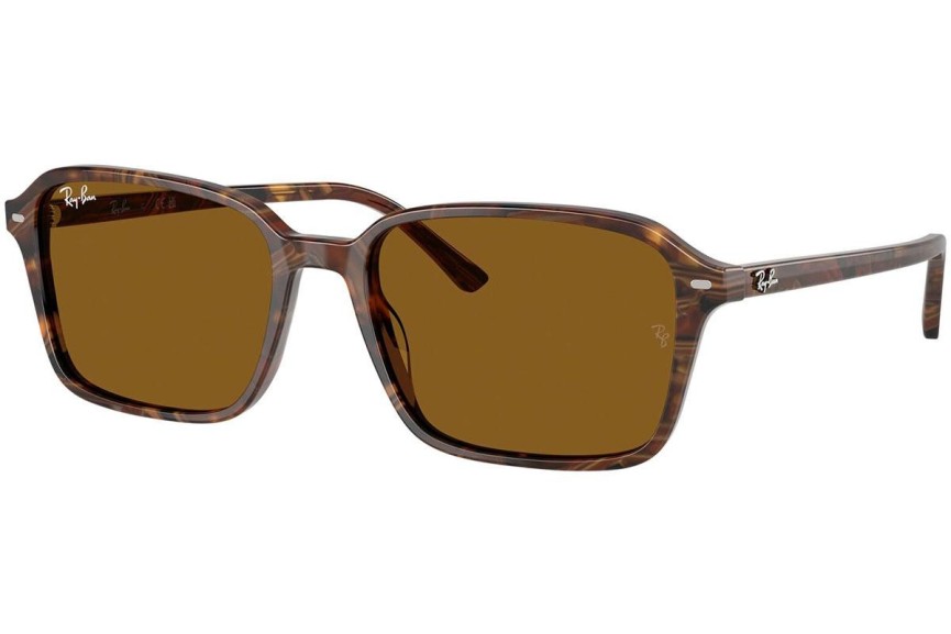 Sončna očala Ray-Ban RB2231 141833 Kvadratna Rjava