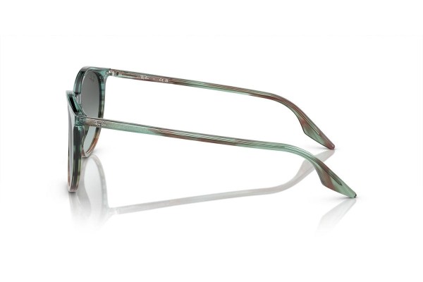 Sončna očala Ray-Ban RB2204 1394GK Okrogla Modra