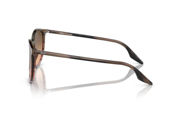 Sončna očala Ray-Ban RB2204 13953B Okrogla Rjava