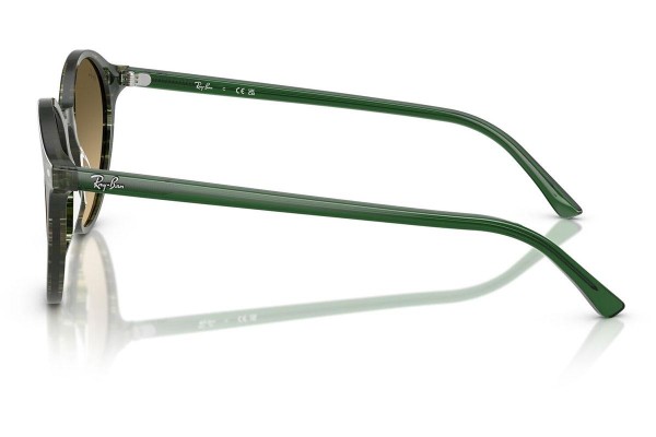 Sončna očala Ray-Ban RB2230 14210A Okrogla Zelena