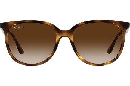 Sončna očala Ray-Ban RB4378 710/13 Kvadratna Havana