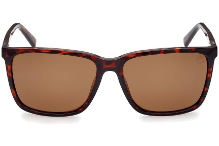 Sončna očala Timberland TB9280-H 52H Polarized Kvadratna Havana