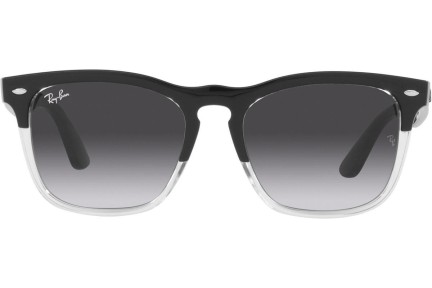 Sončna očala Ray-Ban Steve RB4487 66308G Kvadratna Črna