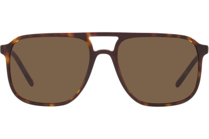 Sončna očala Dolce & Gabbana DG4423 502/73 Pilotska Havana