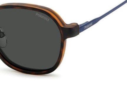 Polaroid PLD6184/CS PJP/M9 Polarized