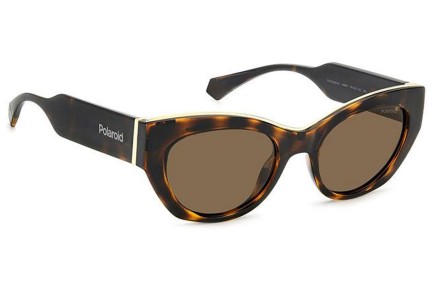 Sončna očala Polaroid PLD6199/S/X 086/SP Polarized Cat Eye Havana