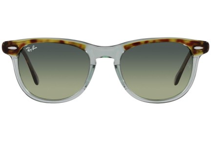 Sončna očala Ray-Ban Eagleeye RB2398 1376BH Okrogla Zelena