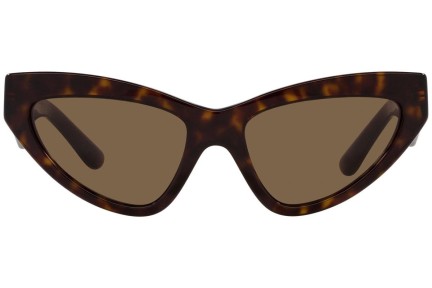 Sončna očala Dolce & Gabbana DG4439 502/73 Cat Eye Havana