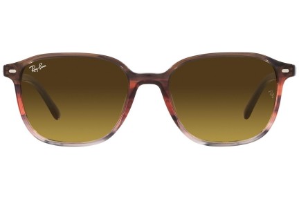 Sončna očala Ray-Ban Leonard RB2193 138085 Kvadratna Havana