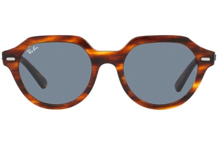 Sončna očala Ray-Ban Gina RB4399 954/62 Kvadratna Havana