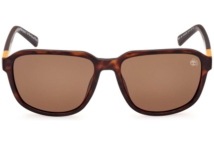 Sončna očala Timberland TB9311 52H Polarized Kvadratna Havana