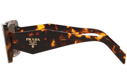 Sončna očala Prada PR08YS 01V8C1 Cat Eye Havana