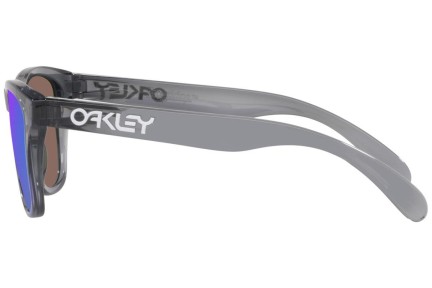 Sončna očala Oakley Frogskins XXS OJ9009-02 Kvadratna Siva