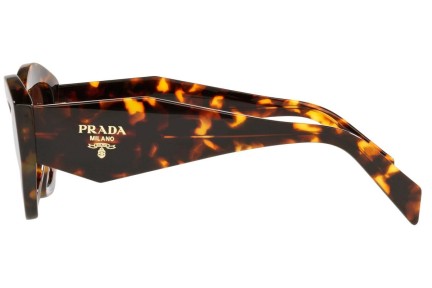 Sončna očala Prada PR07YS VAU6S1 Cat Eye Havana