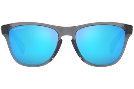 Sončna očala Oakley Frogskins XXS OJ9009-02 Kvadratna Siva