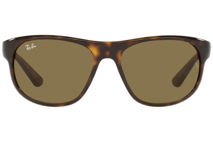 Sončna očala Ray-Ban RB4351 710/73 Ovalna Havana