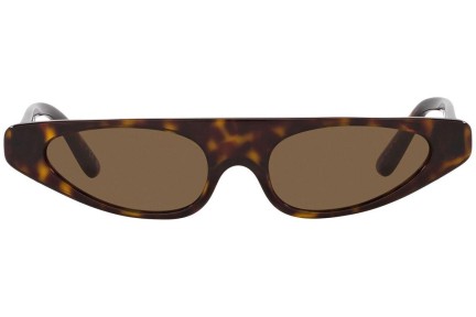 Sončna očala Dolce & Gabbana DG4442 502/73 Pravokotna Havana