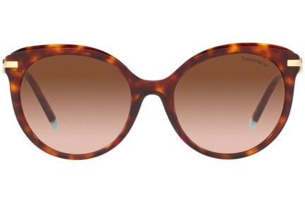 Sončna očala Tiffany & Co. TF4189B 80023B Cat Eye Havana