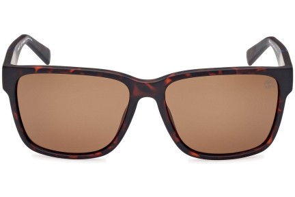 Sončna očala Timberland TB9335-H 52H Polarized Kvadratna Havana