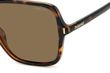 Sončna očala Polaroid PLD6219/S 086/SP Polarized Kvadratna Havana