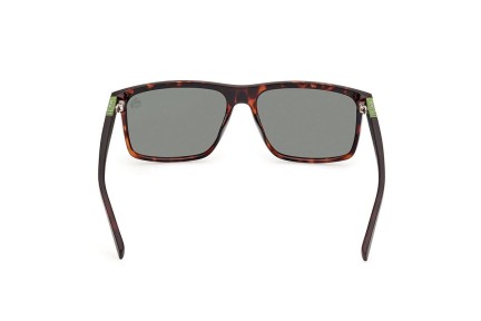 Sončna očala Timberland TB00008 52R Polarized Kvadratna Havana