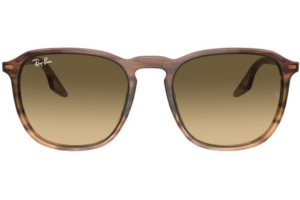 Sončna očala Ray-Ban RB2203 13920A Kvadratna Rjava