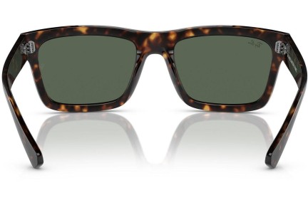 Sončna očala Ray-Ban Warren RB4396 135971 Pravokotna Havana