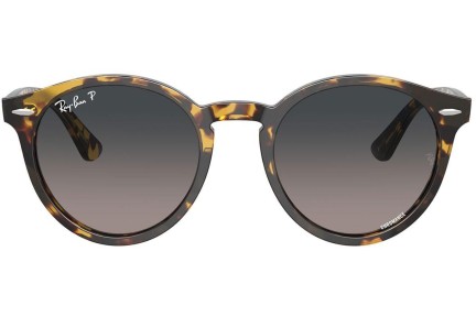 Sončna očala Ray-Ban Larry RB7680S 1332GL Polarized Okrogla Havana