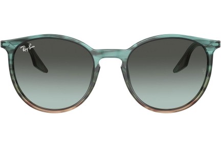 Sončna očala Ray-Ban RB2204 1394GK Okrogla Modra