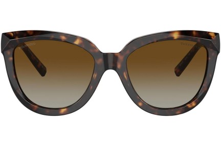 Sončna očala Tiffany & Co. TF4215 8015T5 Polarized Cat Eye Havana