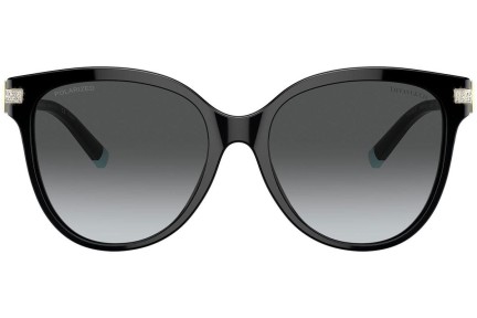 Sončna očala Tiffany & Co. TF4193B 8001T3 Polarized Posebni Črna